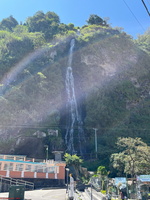 IMG 9948