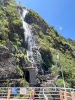 IMG 9954