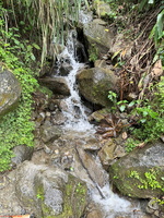 IMG 9987