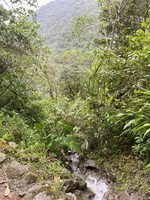 IMG 9988