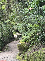 IMG 9989