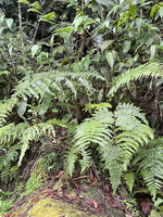 IMG 9990