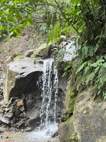 IMG 9991