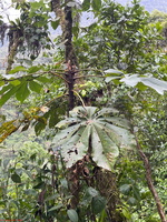 IMG 9993