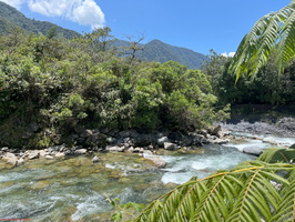 IMG 0060