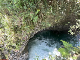 IMG 0066