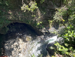 IMG 0067