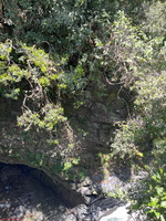 IMG 0068