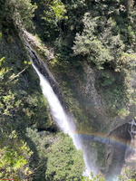 IMG 0071