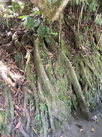 IMG 0077