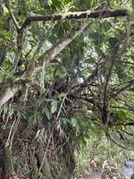 IMG 0078