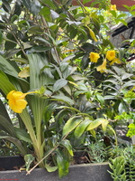 IMG 0079