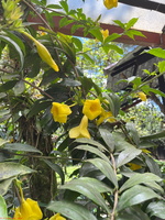IMG 0080
