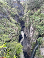 IMG 0100
