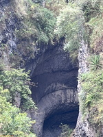 IMG 0101