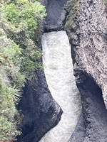 IMG 0103