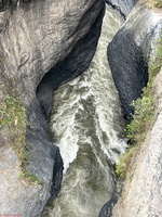 IMG 0109