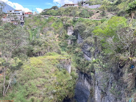 IMG 0113