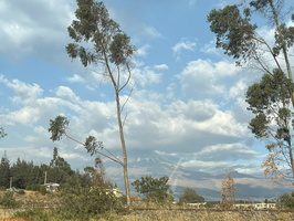 IMG 0123