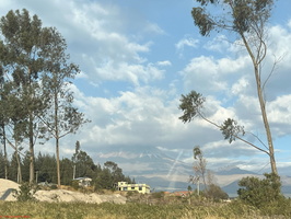 IMG 0124