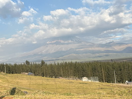 IMG 0125