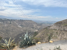 IMG 0155