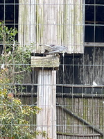 IMG 0179