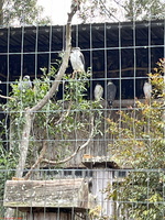 IMG 0181