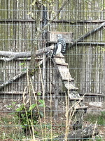 IMG 0183