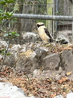 IMG 0184