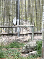 IMG 0187