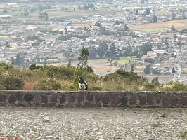 IMG 0206