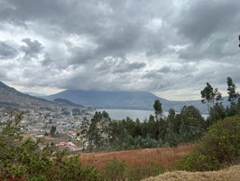 IMG 0210