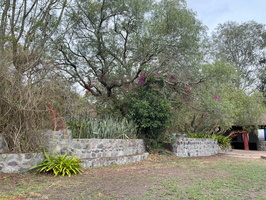 IMG 0252