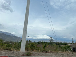IMG 0259