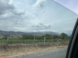 IMG 0262