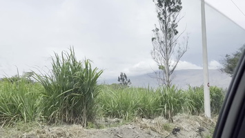 IMG 0263-poster