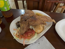 IMG 0274