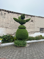IMG 0275