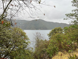IMG 0278