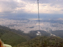 IMG 0310