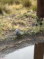 IMG 0319