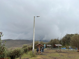 IMG 0324