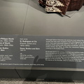 IMG 1403