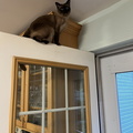 IMG 1617