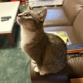 IMG 1642