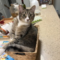 IMG 1721